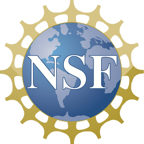 National Science Foundation x SBIR electrochemical acoustic tools for analysis of battery award goes to Feasible, Inc.
