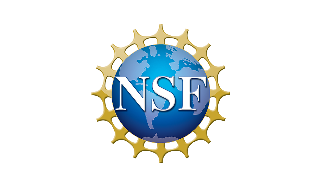 NSF SBIR Phase II Award: Feasible, Inc.