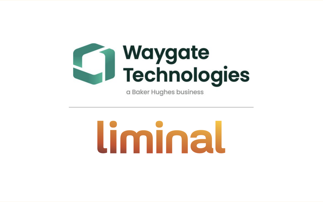 Announcement of Strategic Partnership with Waygate Technologies